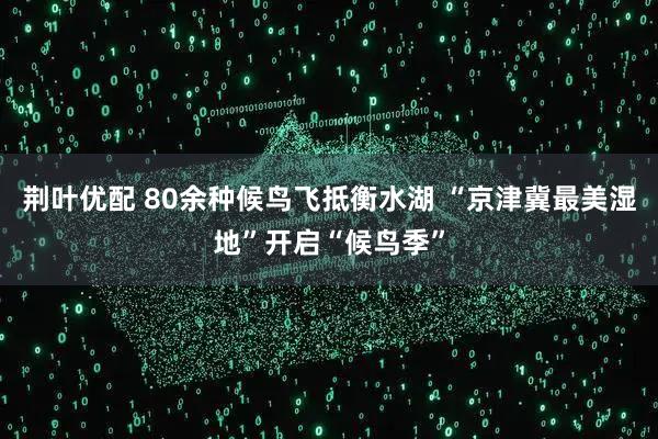 荆叶优配 80余种候鸟飞抵衡水湖 “京津冀最美湿地”开启“候鸟季”